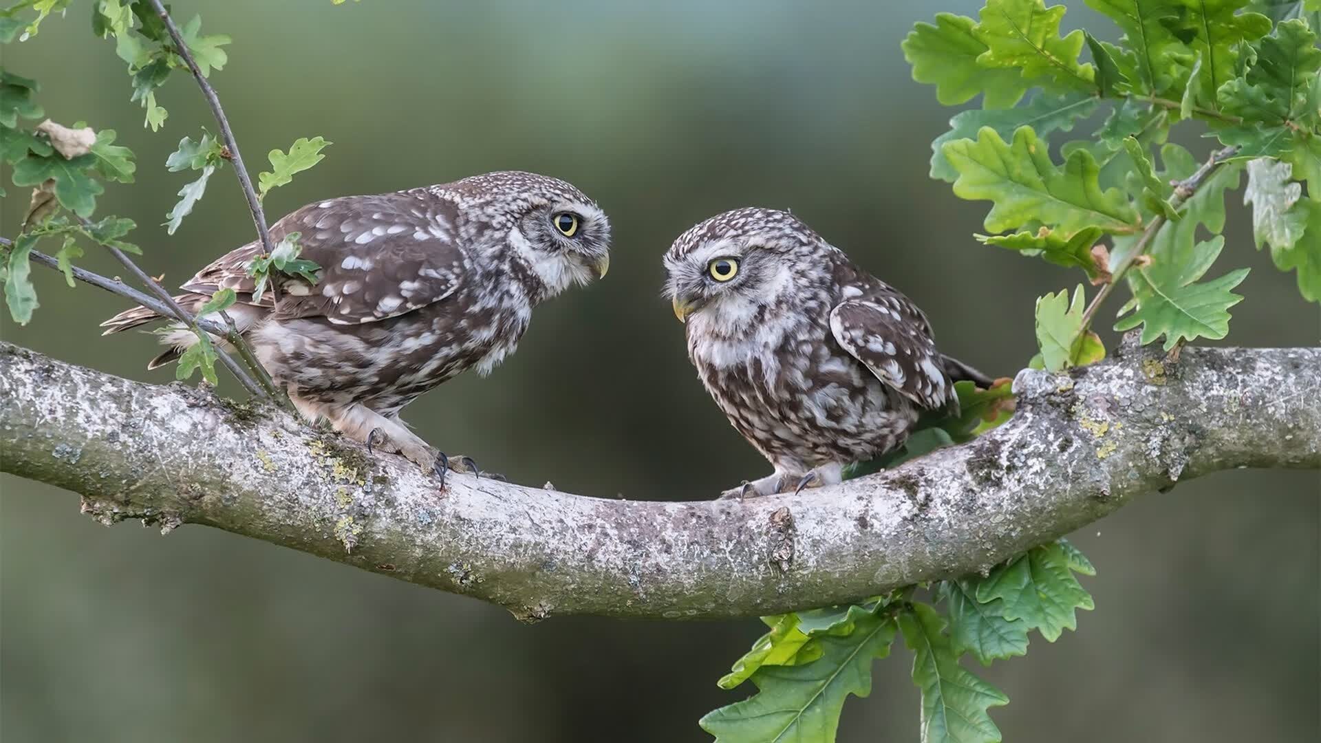 牡丹江快递到哈尔滨几天(牡丹江发货到哈尔滨)